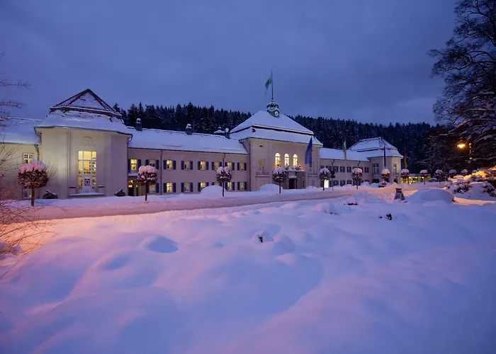 Hotel König Albert Bad Elster