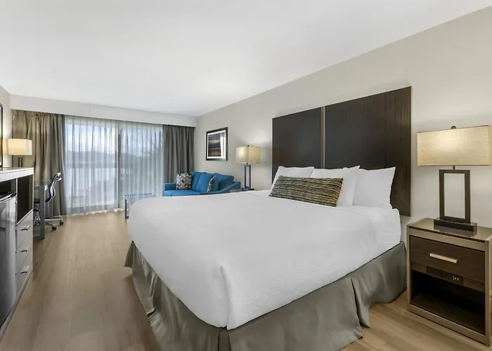 Florence Dog Friendly Hotels