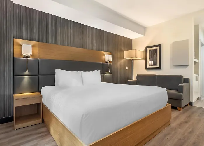 Calgary Dog Friendly Hotels