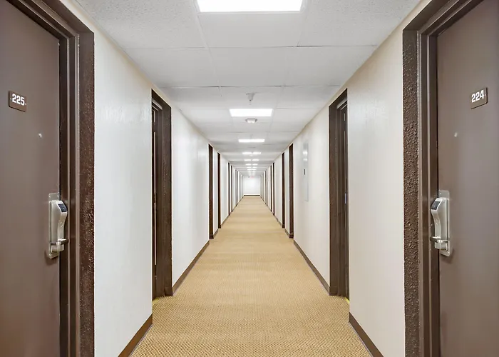 Muskegon Dog Friendly Hotels