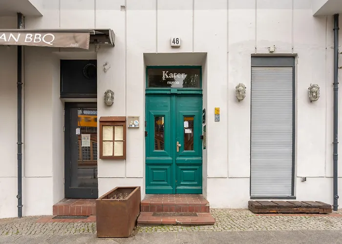 Numa Berlin Kater