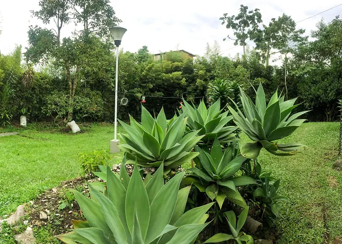 Cotinga Hotel Spa