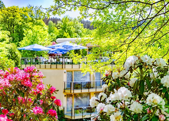 Hotel Villa Marburg im Park Heigenbruecken