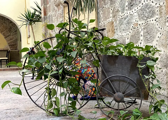 Escala Centro