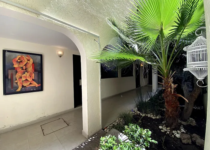 Hoteles que admiten perros en Heroica Puebla de Zaragoza 