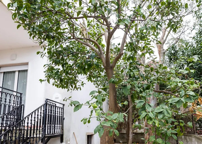 Villa Harmony Sorrento