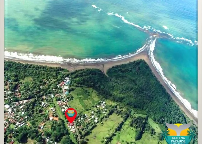 Ballena Paradise Apartments
