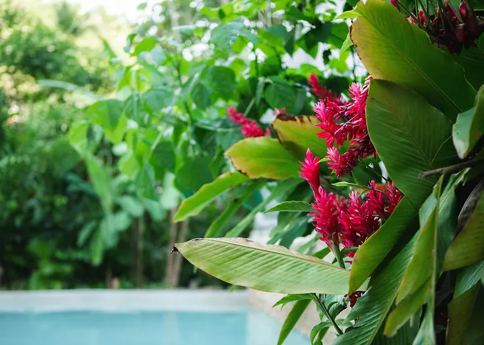 Dominican Tree House Village