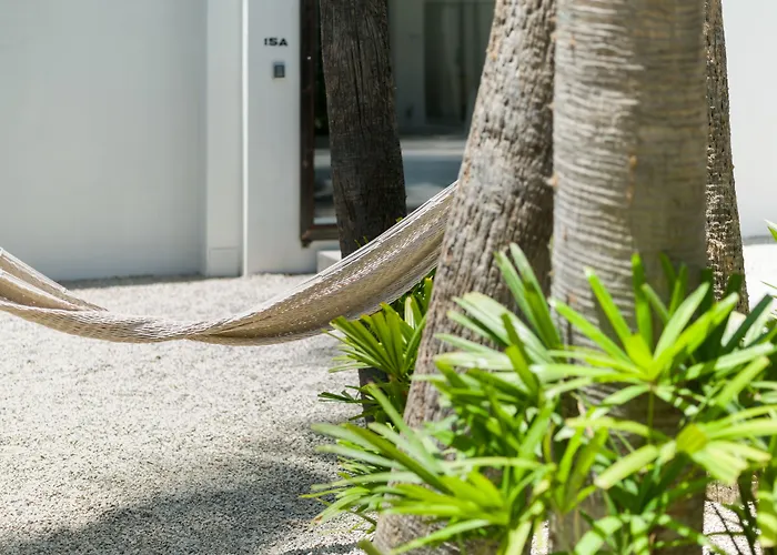 Drift San Jose Del Cabo, A Member Of Design Hotels