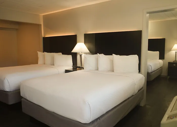 Redding Dog Friendly Hotels