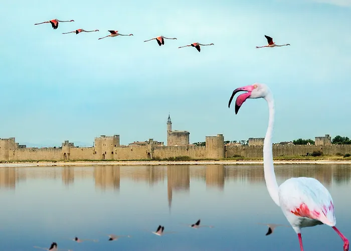 LA PENICHE - Bed And Bicycle - Aigues Mortes