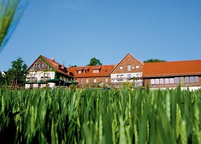 Hotel Neue Höhe Klingenberg