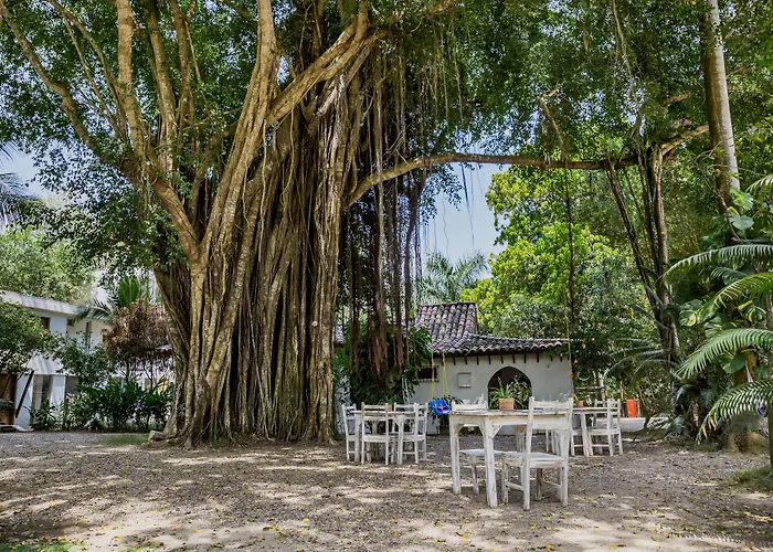 Hotel Restaurante Selva Negra