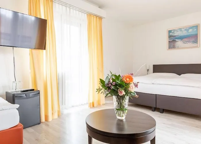 Hotel Alexander Bâle