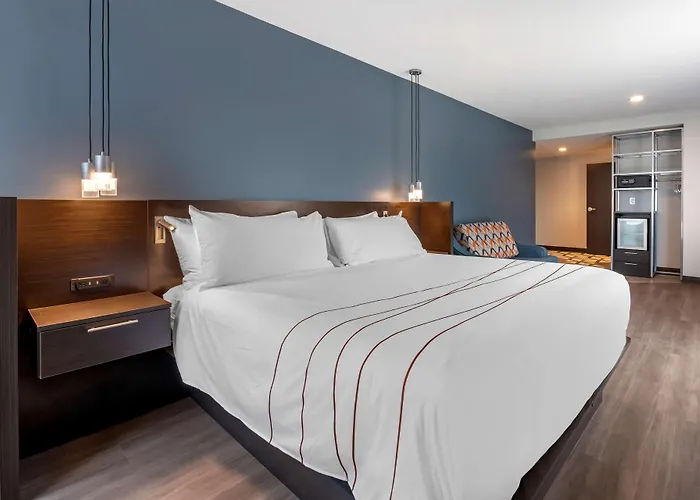 Vib Hotel By Best Western Denver Rino