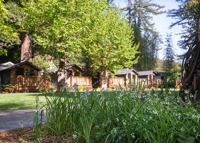 Dawn Ranch