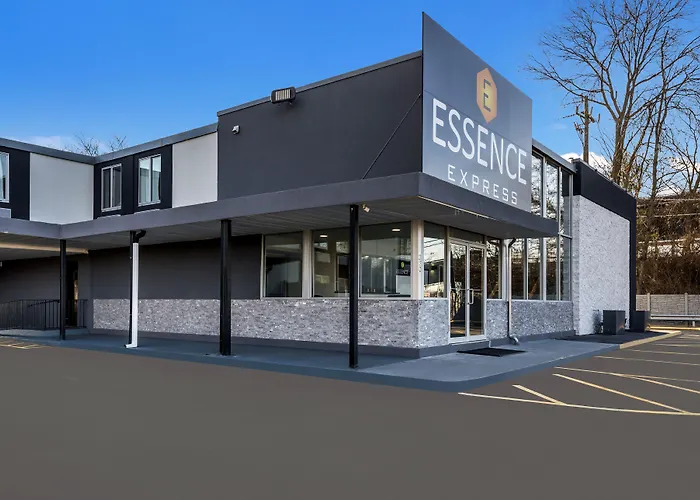 Essence Express Wayne