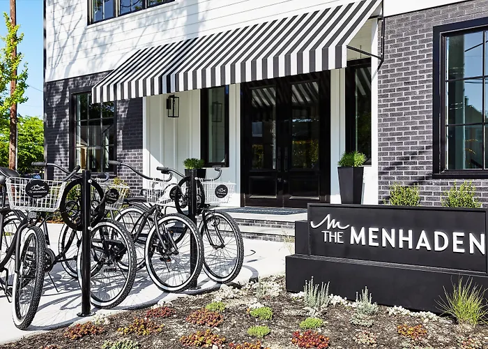 Menhaden