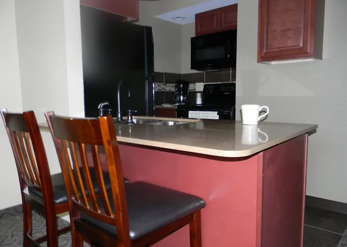 South Williamsport Dog Friendly Hotels