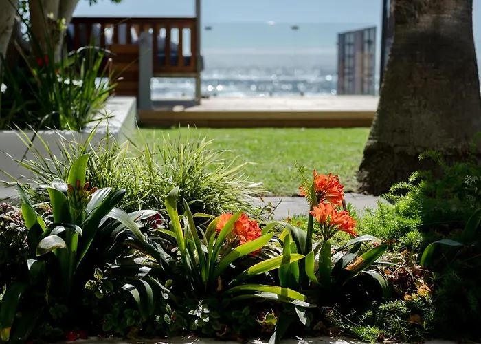 The Bay Hotel