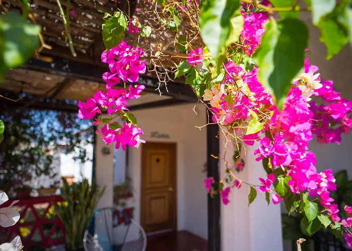 El Diablo Y La Sandia B&B
