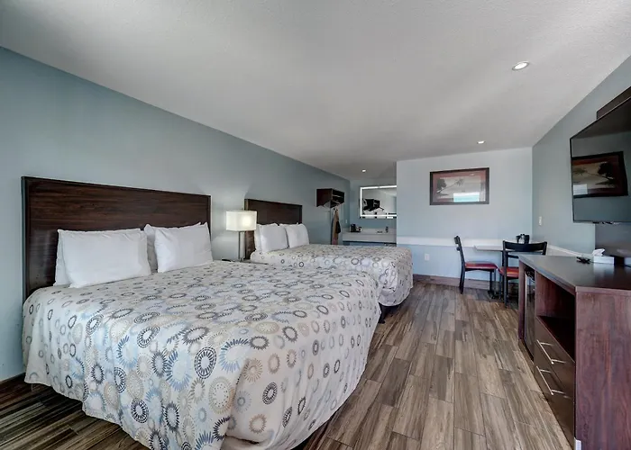 Padre Island Dog Friendly Hotels