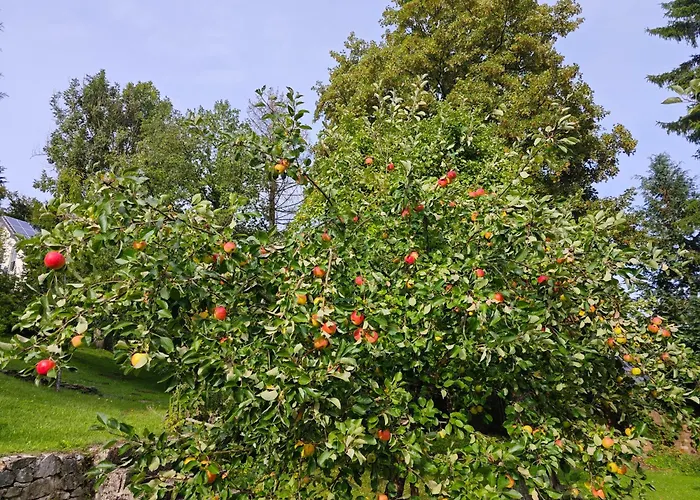 Urfter Hof Garni