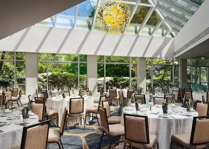 Hilton Mclean Tysons Corner