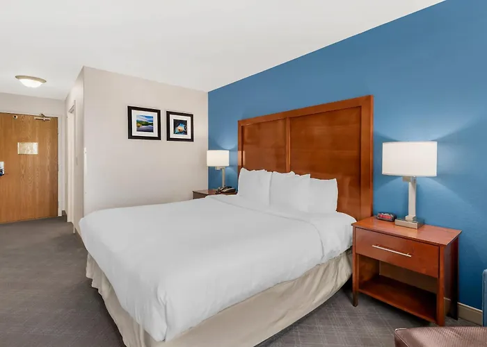 Comfort Inn & Suites