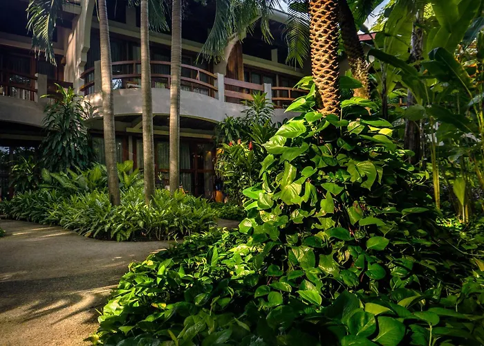 Capitan Suizo Beachfront Boutique Hotel