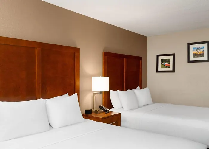 Clearfield Dog Friendly Hotels