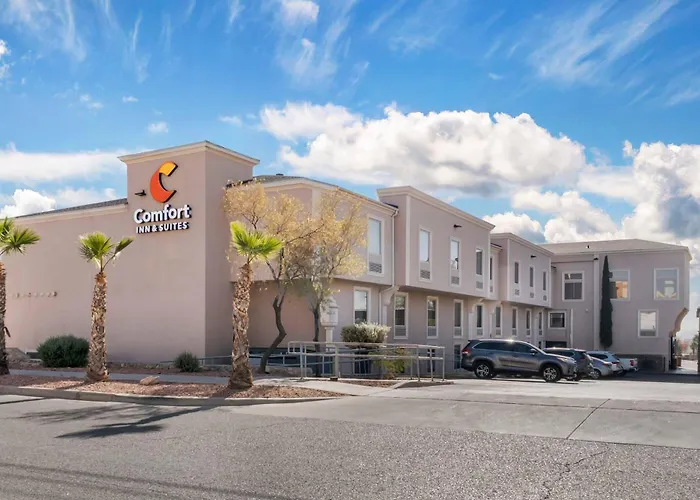 Comfort Inn & Suites I-10 Airport Area