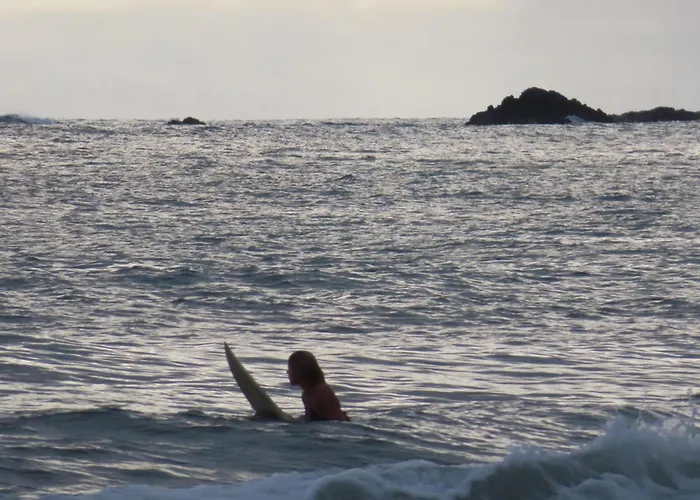 Peace Of Paradise Breakfast Included Free Manuel Antonio Park Tour