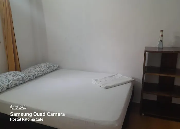 Hostal Paloma Café
