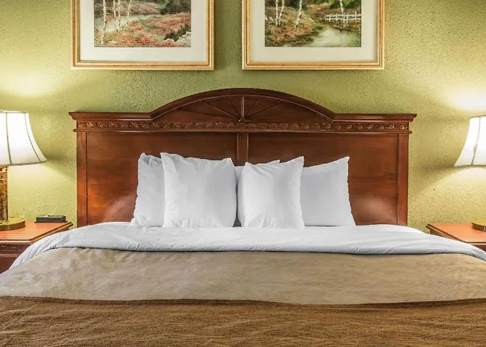 Quality Inn & Suites Ann Arbor Hwy 23