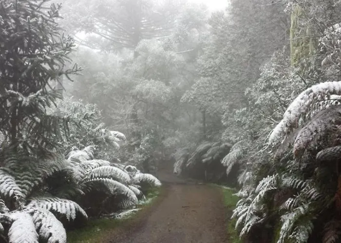 Snow Valley