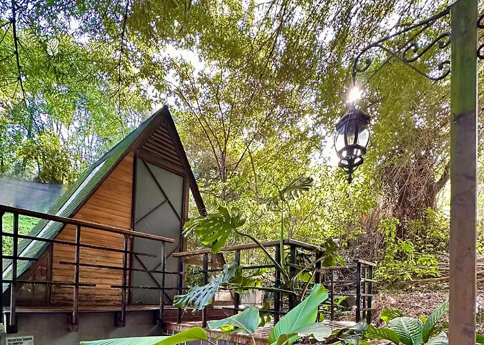 All Natural Glamping