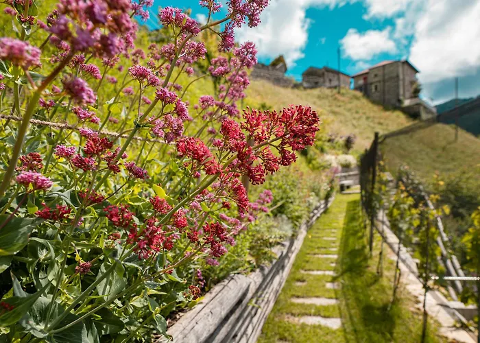 La Casa dei Gelsi - Panorama Lodge MONTE GENEROSO