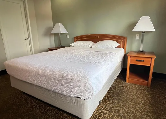 Hotel Parmani Near Stanford University