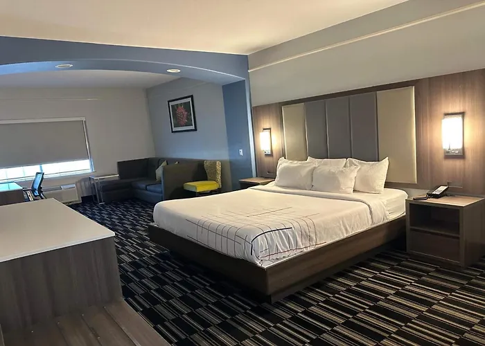 La Quinta By Wyndham Alamo-Mcallen East