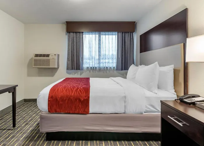 Comfort Inn & Suites Near Washington Square
