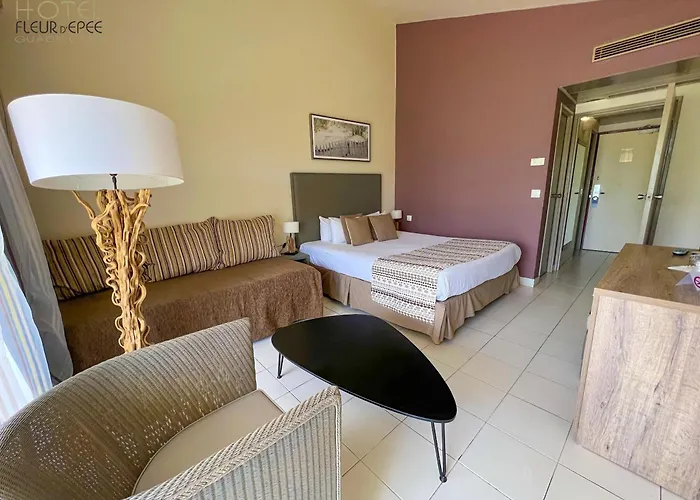 Hotel Fleur d Epée