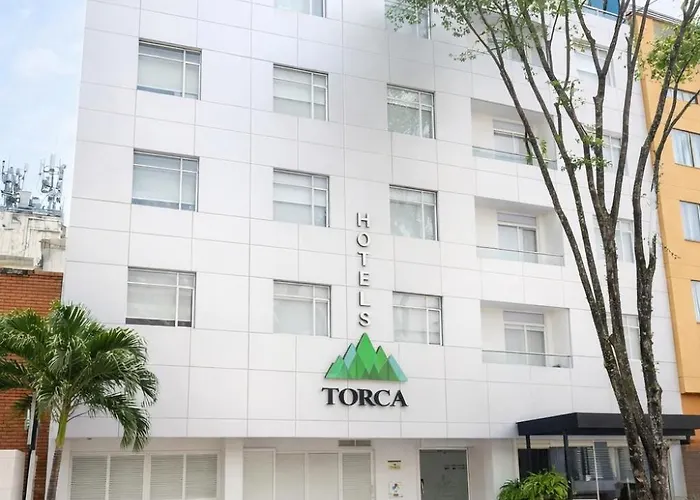 Torca