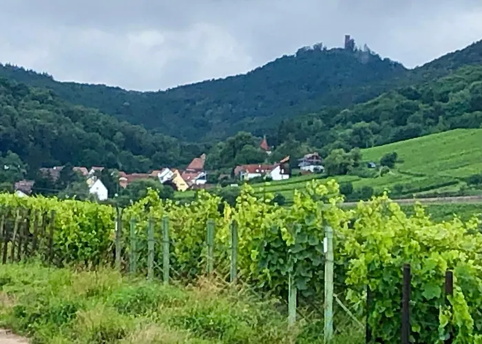 Gästehaus Susanne Pfaffmann