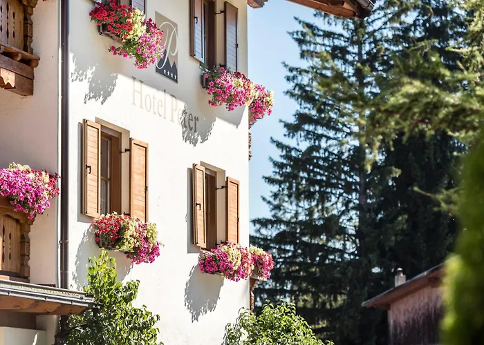 Hotel Peter