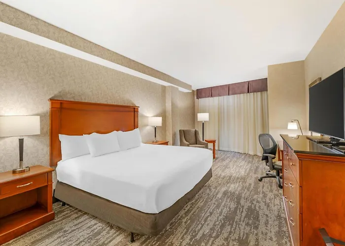 Drury Plaza Hotel St Louis Brentwood