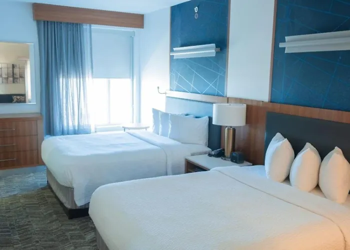 Springhill Suites By Marriott Dallas Lewisville