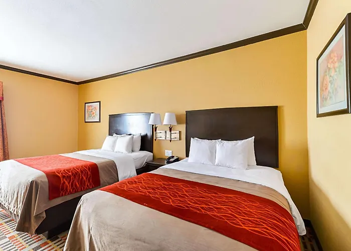 Quality Inn & Suites Lubbock South