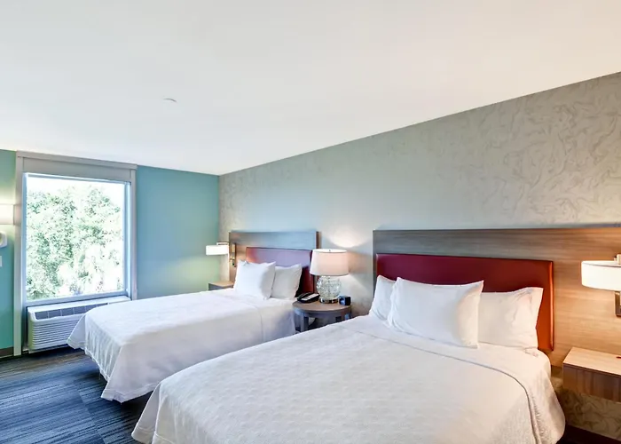 Home2 Suites By Hilton Tampa Usf Near Busch Gardens