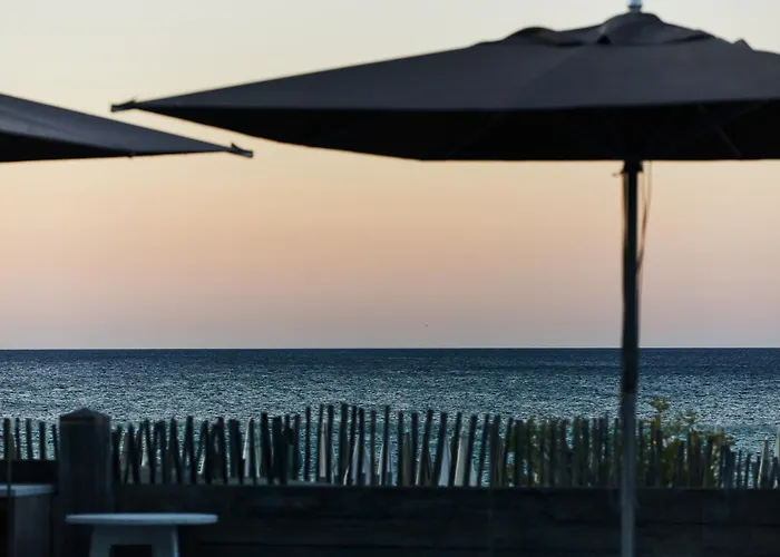 Hôtel Plage Palace&Spa